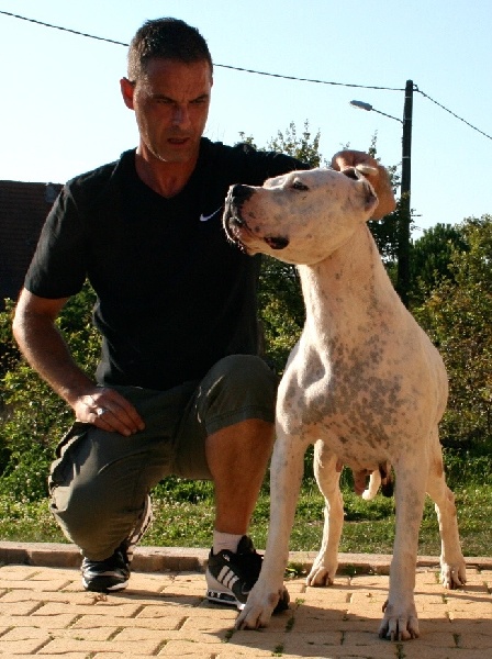 CH. Perro del Chaco Déa dia